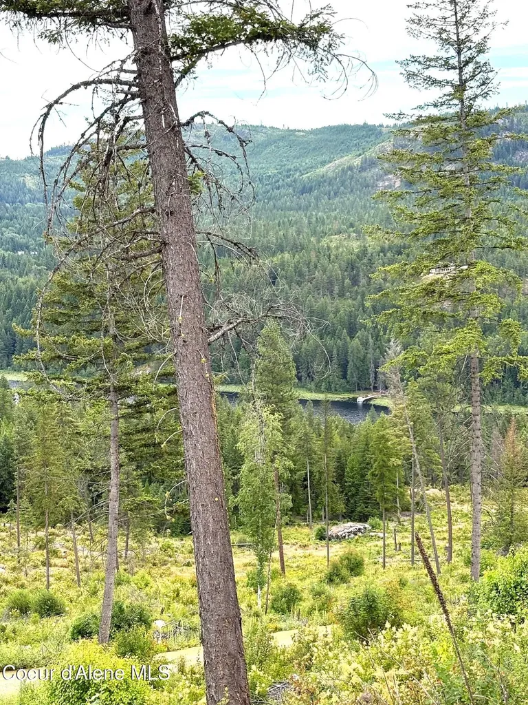 Lot 2 Dollar Creek Drive Sagle ID 83860