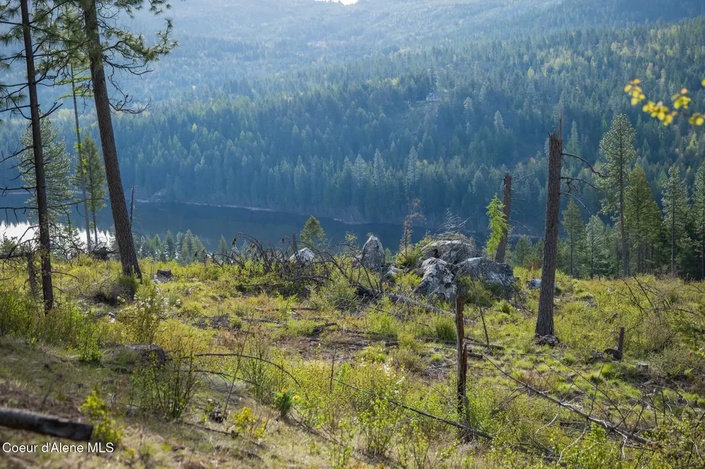 Lot 1 Dollar Creek Drive Sagle ID 83860