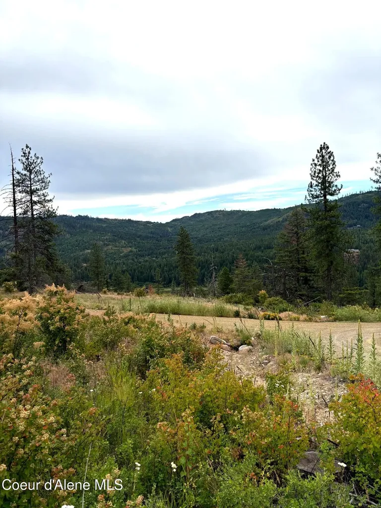 Lot 1 Dollar Creek Drive Sagle ID 83860