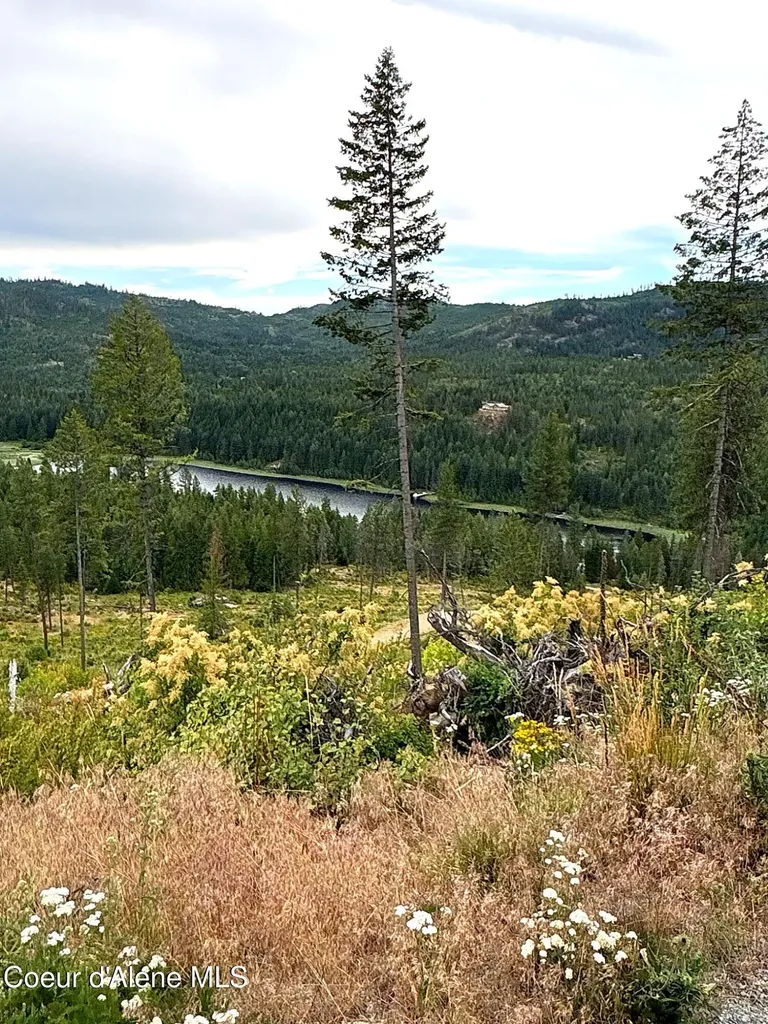 Lot 1 Dollar Creek Drive Sagle ID 83860