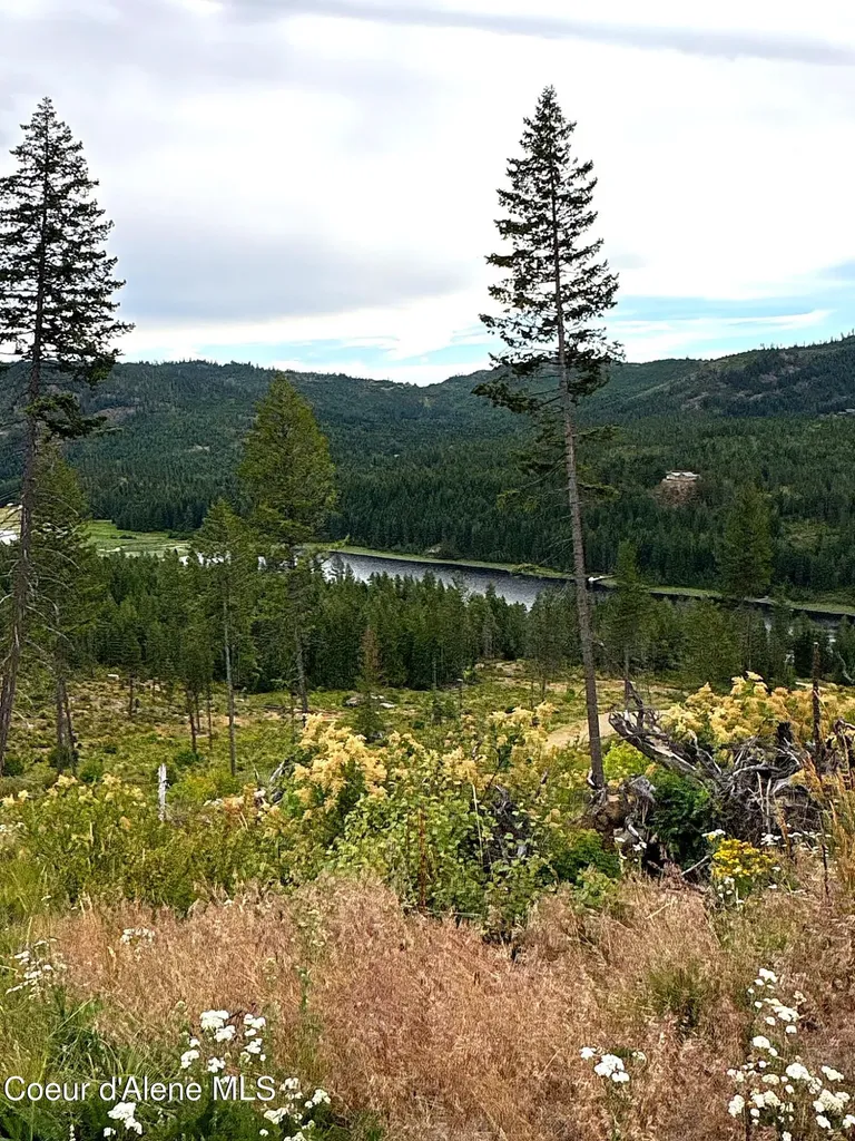 Lot 1 Dollar Creek Drive Sagle ID 83860