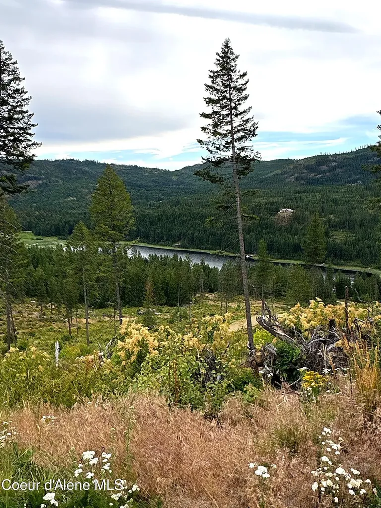 Lot 1 Dollar Creek Drive Sagle ID 83860