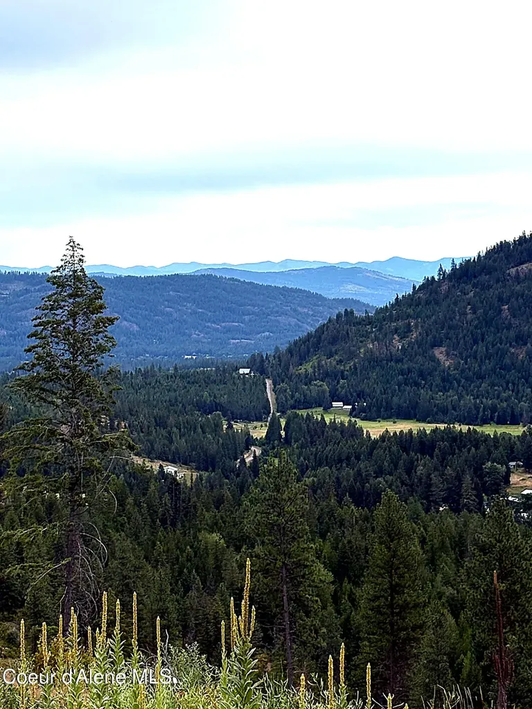 Lot 1 Dollar Creek Drive Sagle ID 83860