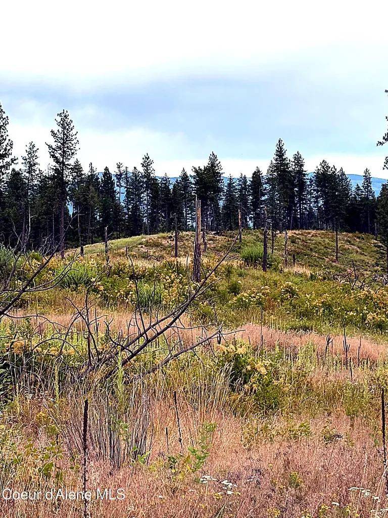 Lot 1 Dollar Creek Drive Sagle ID 83860