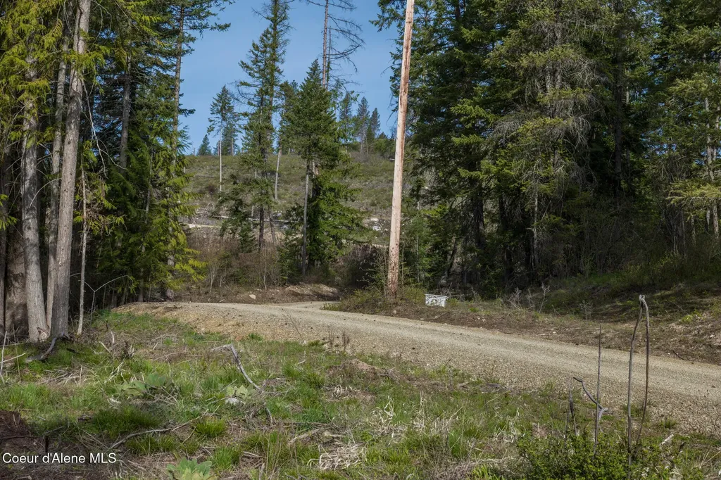 Lot 1 Dollar Creek Drive Sagle ID 83860