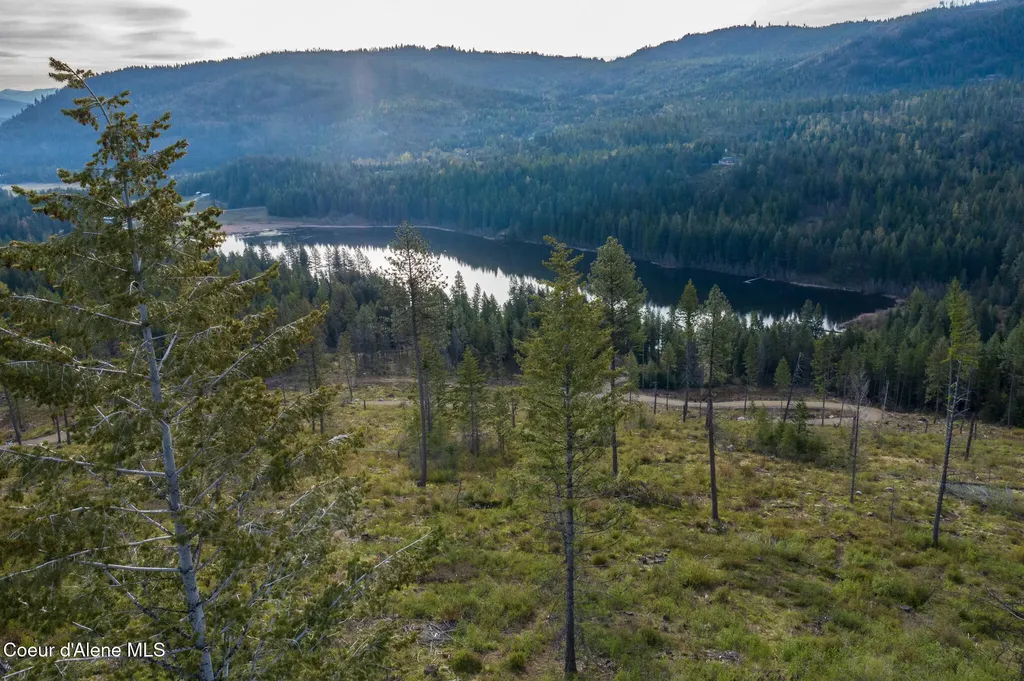 Lot 1 Dollar Creek Drive Sagle ID 83860