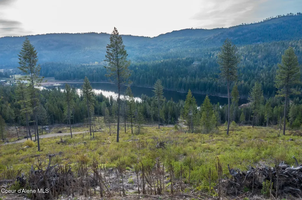 Lot 1 Dollar Creek Drive Sagle ID 83860
