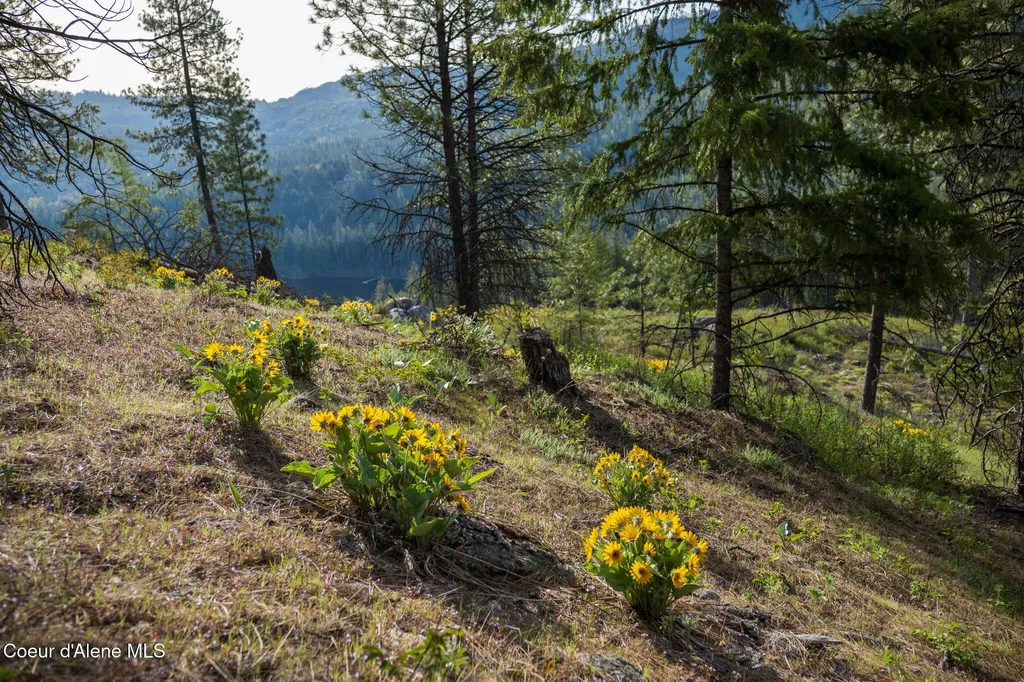 Lot 1 Dollar Creek Drive Sagle ID 83860