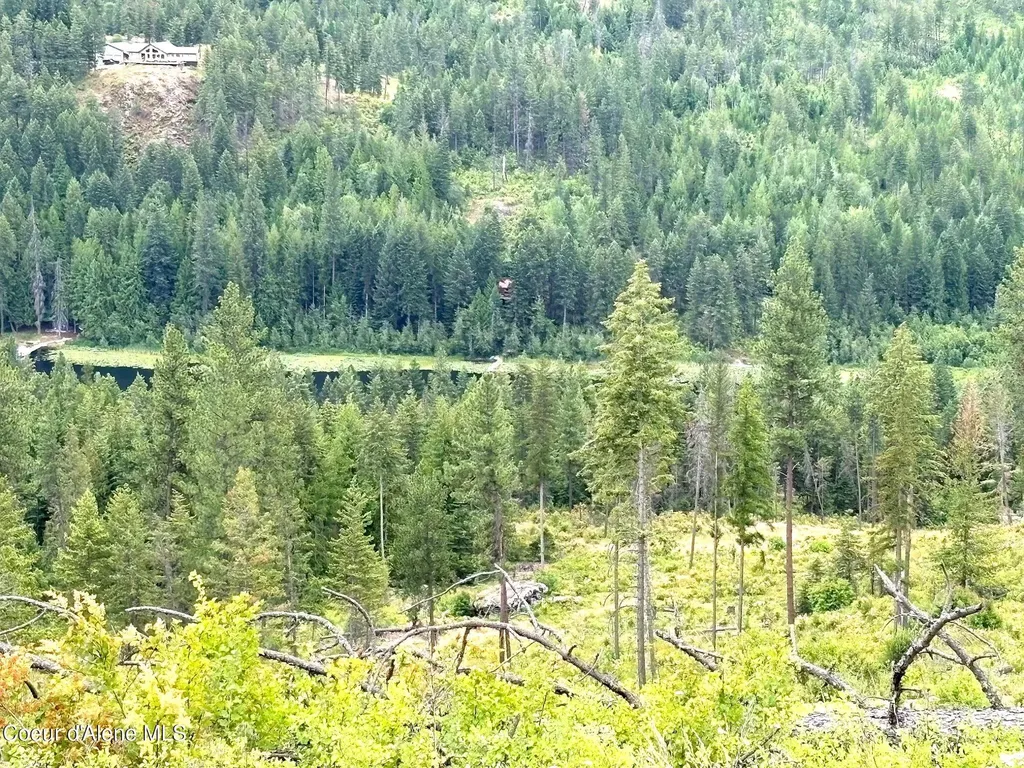 Lot 1 Dollar Creek Drive Sagle ID 83860