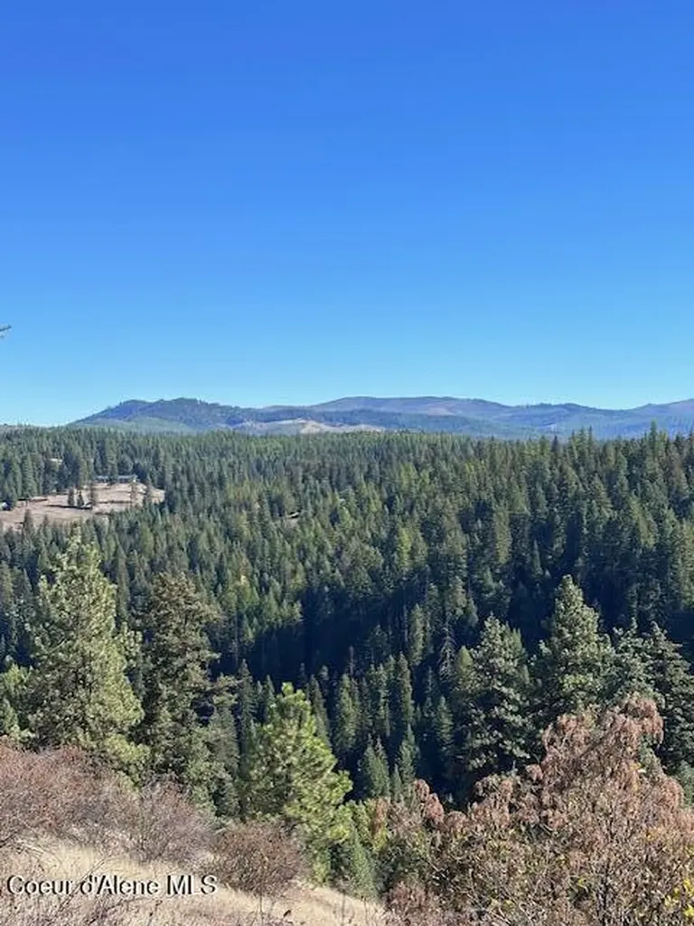 Lot 2 Flat Creek Road St. Maries ID 83861