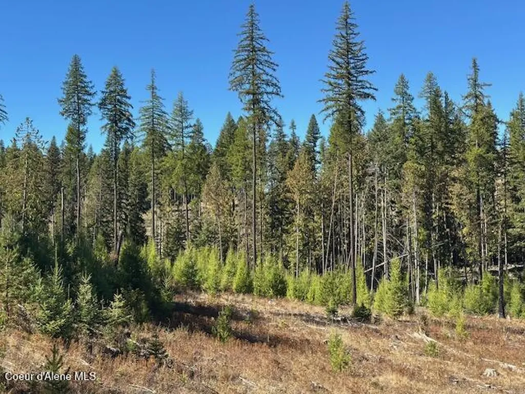 Lot 2 Flat Creek Road St. Maries ID 83861