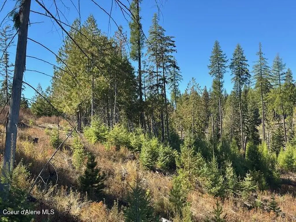 Lot 2 Flat Creek Road St. Maries ID 83861