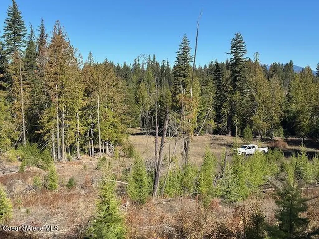 Lot 2 Flat Creek Road St. Maries ID 83861