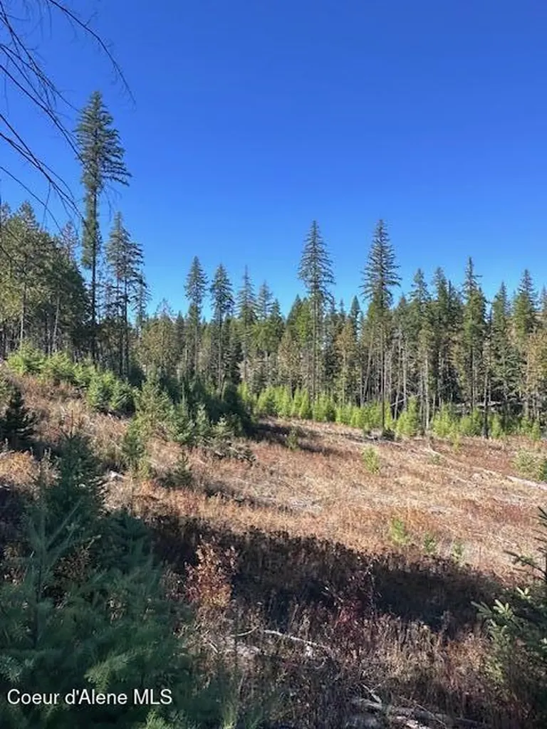 Lot 2 Flat Creek Road St. Maries ID 83861