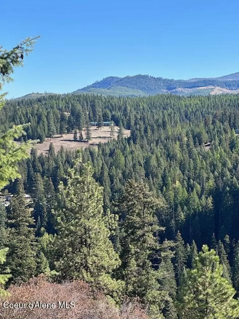 Lot 2 Flat Creek Road St. Maries ID 83861