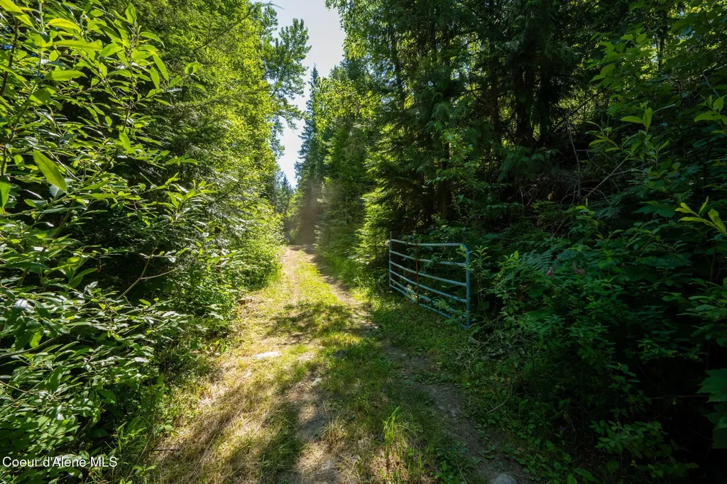 241 Strawberry Creek Road Sandpoint ID 83864