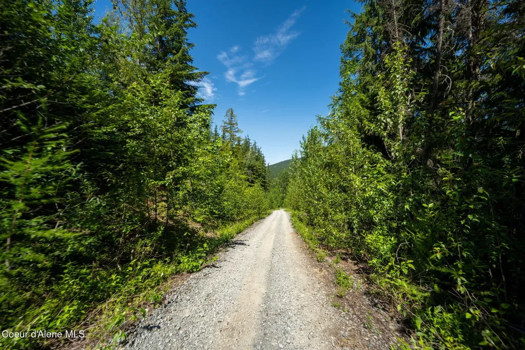 241 Strawberry Creek Road Sandpoint ID 83864