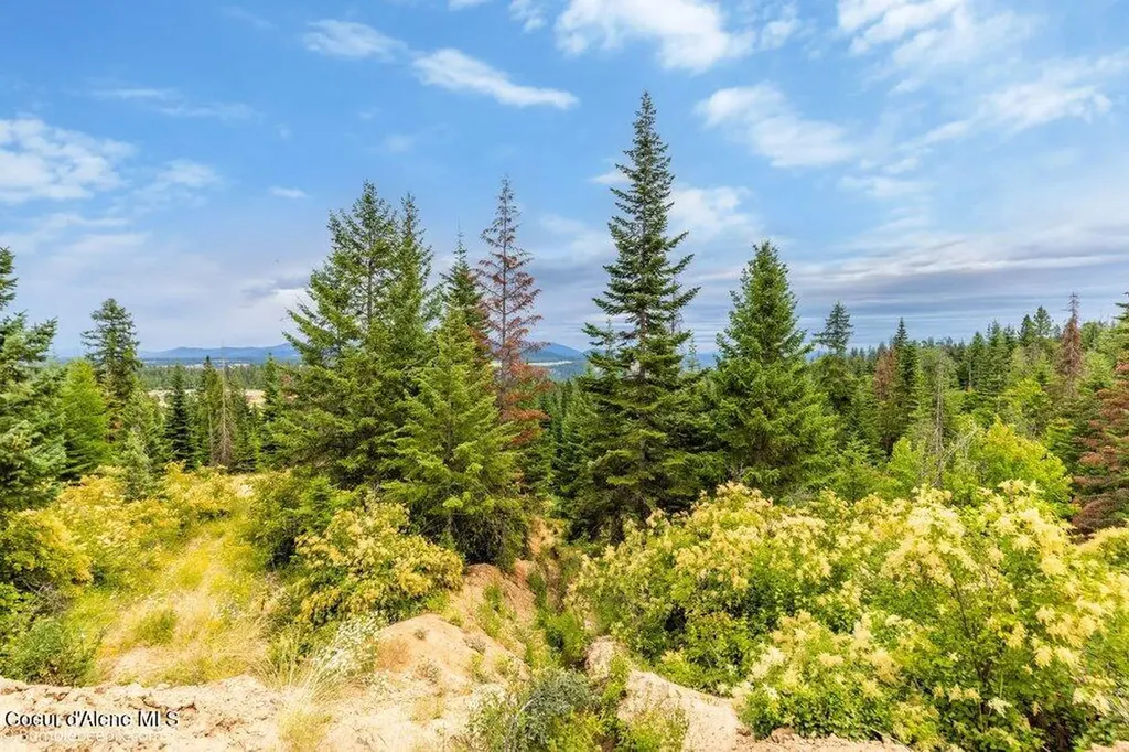 Nka Land Conkling Road W Worley ID 83876