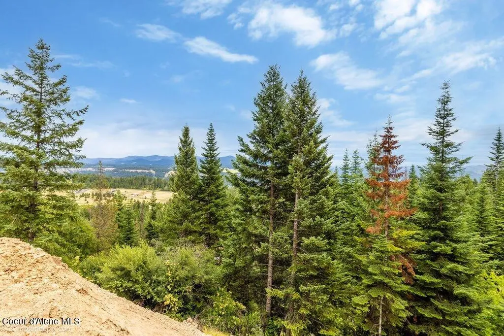 Nka Land Conkling Road W Worley ID 83876