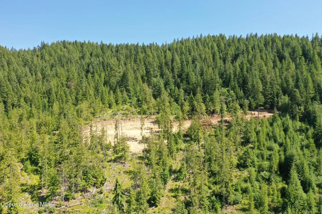 200 Alpine Drive Fernwood ID 83830