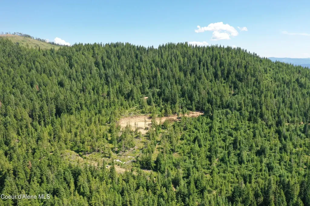 200 Alpine Drive Fernwood ID 83830