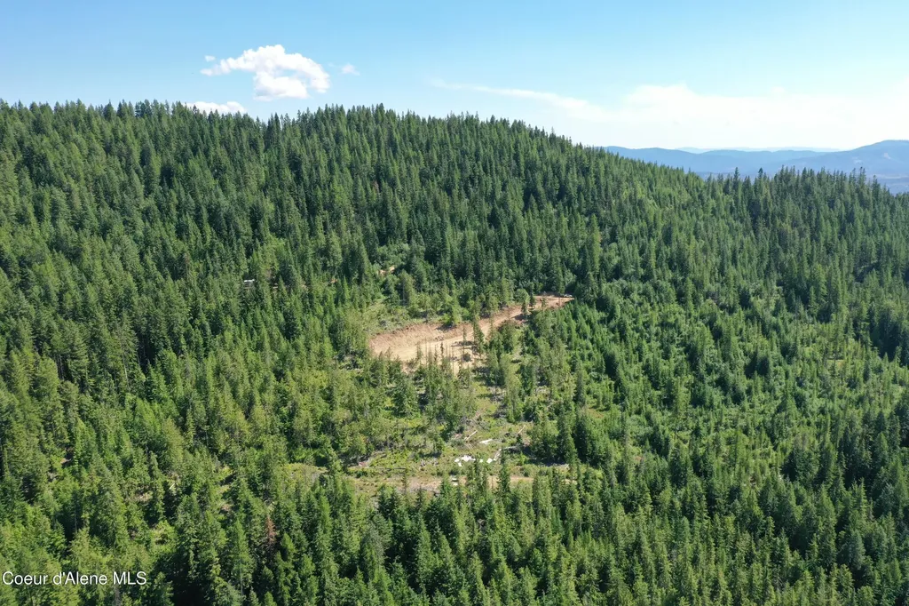 200 Alpine Drive Fernwood ID 83830