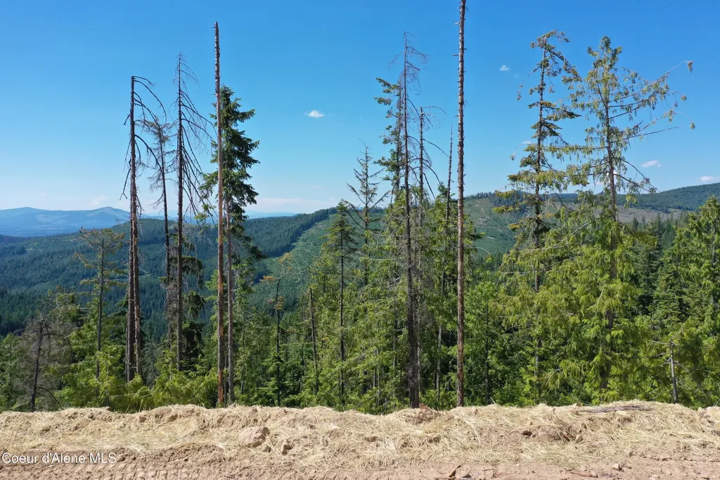 200 Alpine Drive Fernwood ID 83830