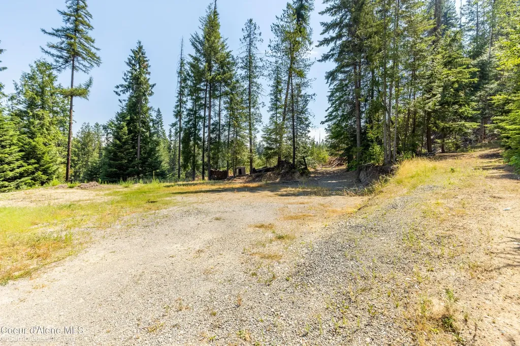 71 Buck Ridge Sagle ID 83860