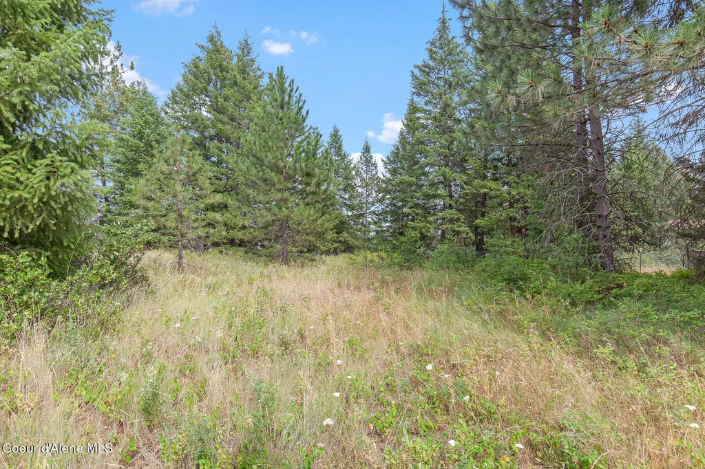 Nka E Forest View Road Athol ID 83801