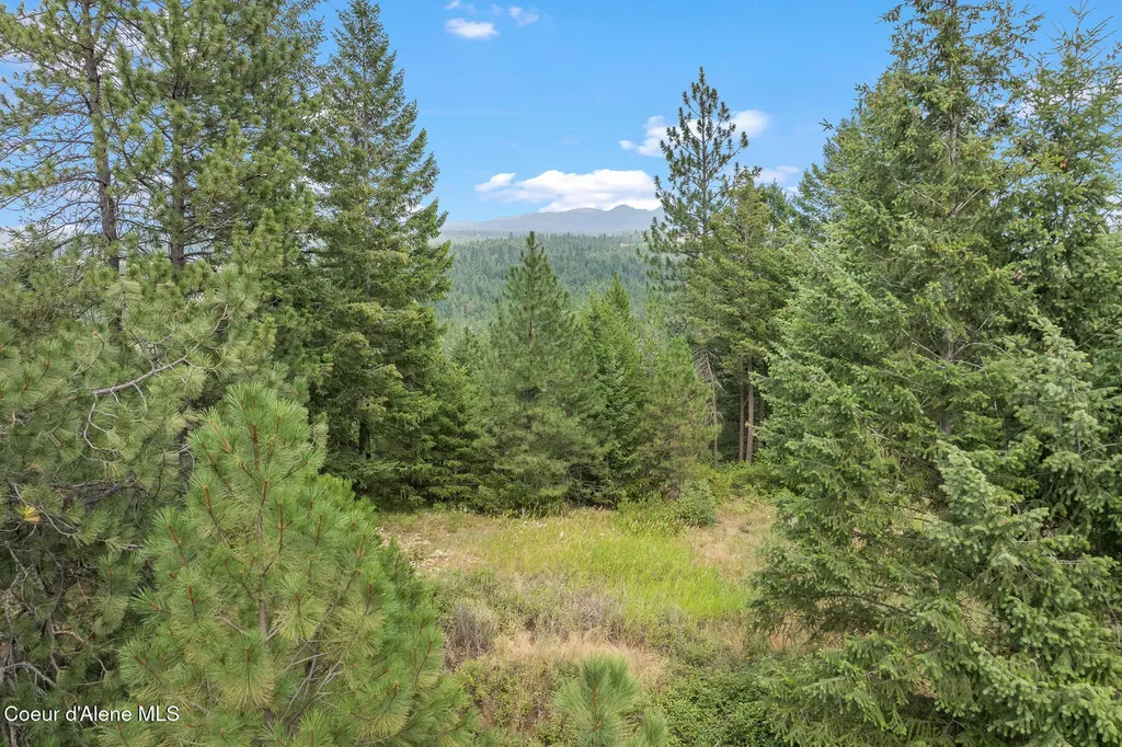Nka E Forest View Road Athol ID 83801