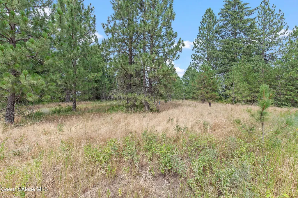 Nka E Forest View Road Athol ID 83801