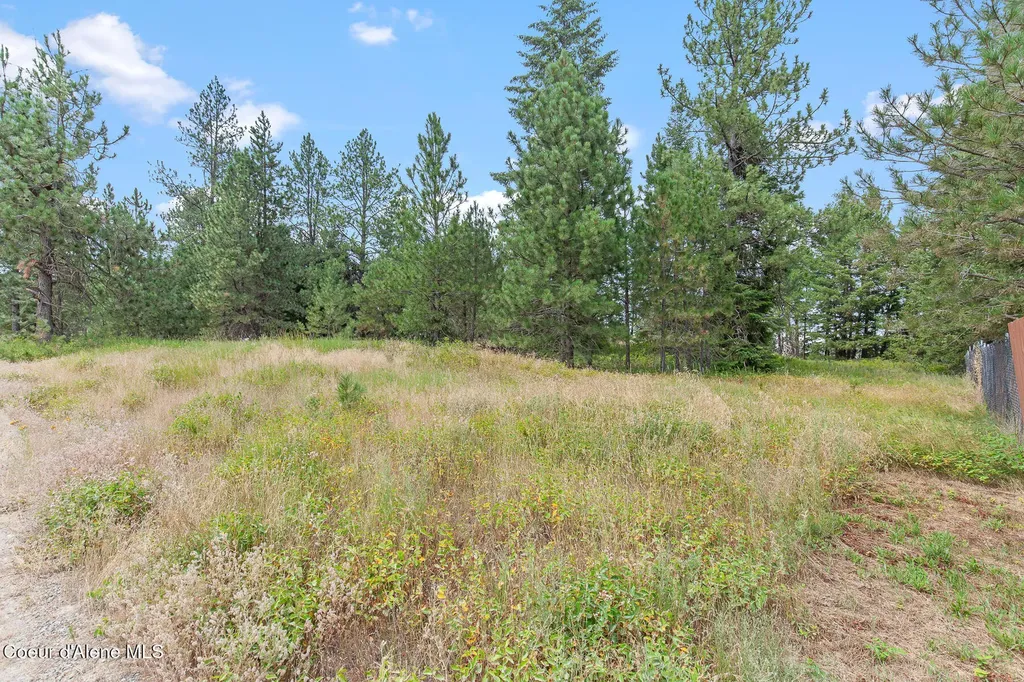 Nka E Forest View Road Athol ID 83801