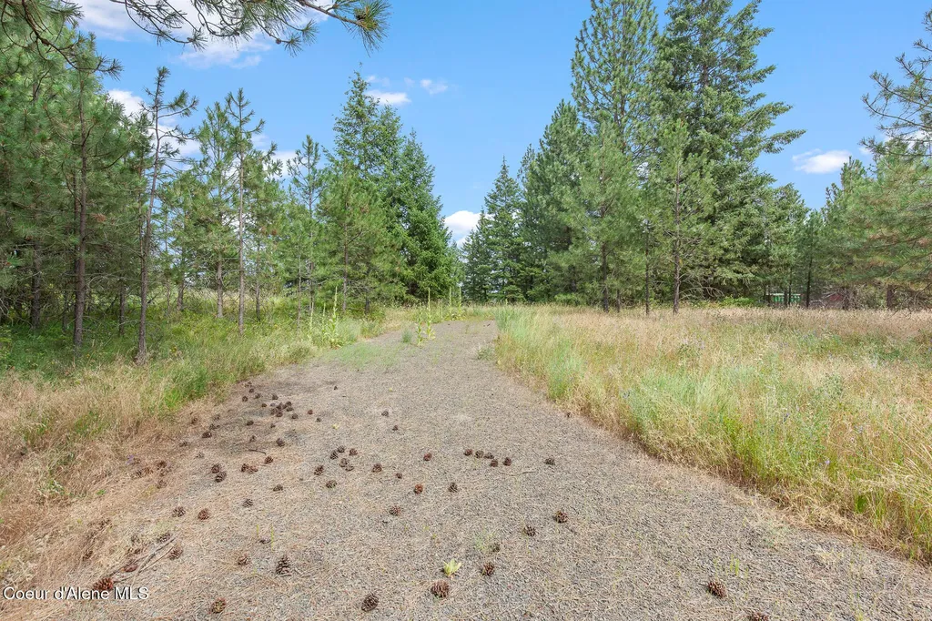 Nka E Forest View Road Athol ID 83801