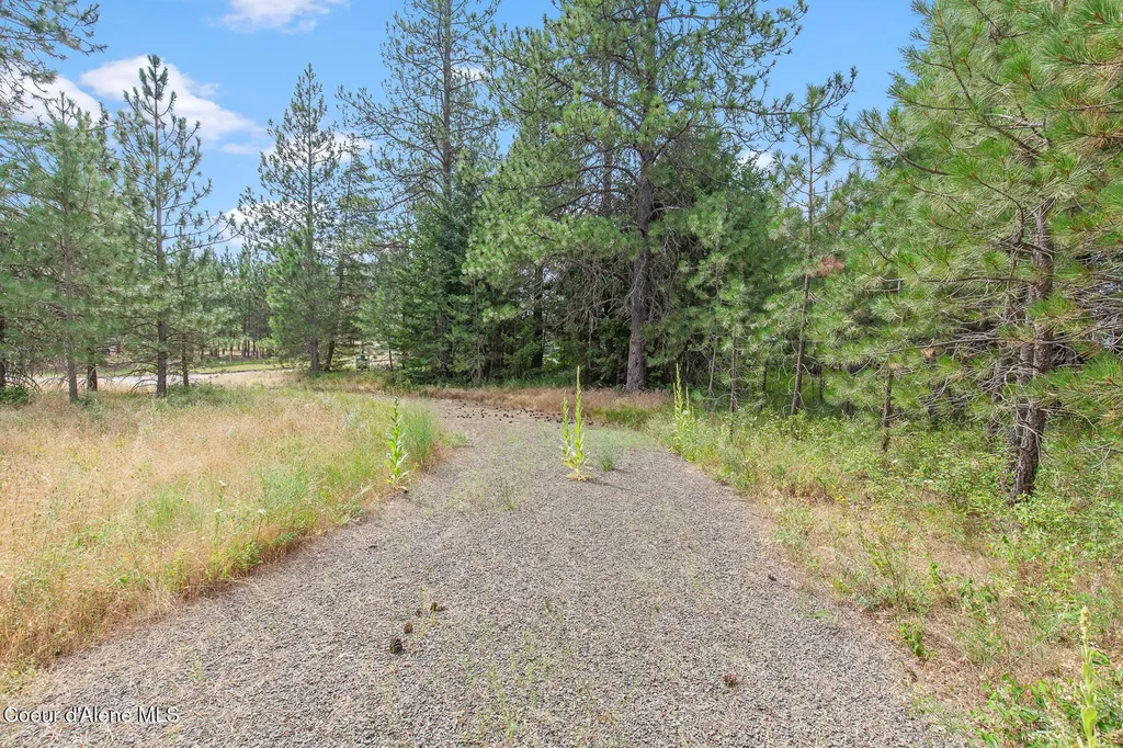 Nka E Forest View Road Athol ID 83801