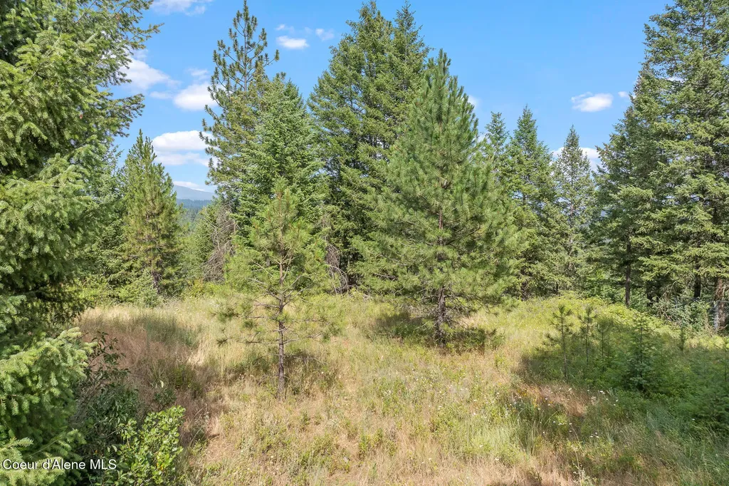 Nka E Forest View Road Athol ID 83801