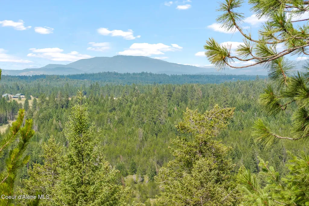 Nka E Forest View Road Athol ID 83801