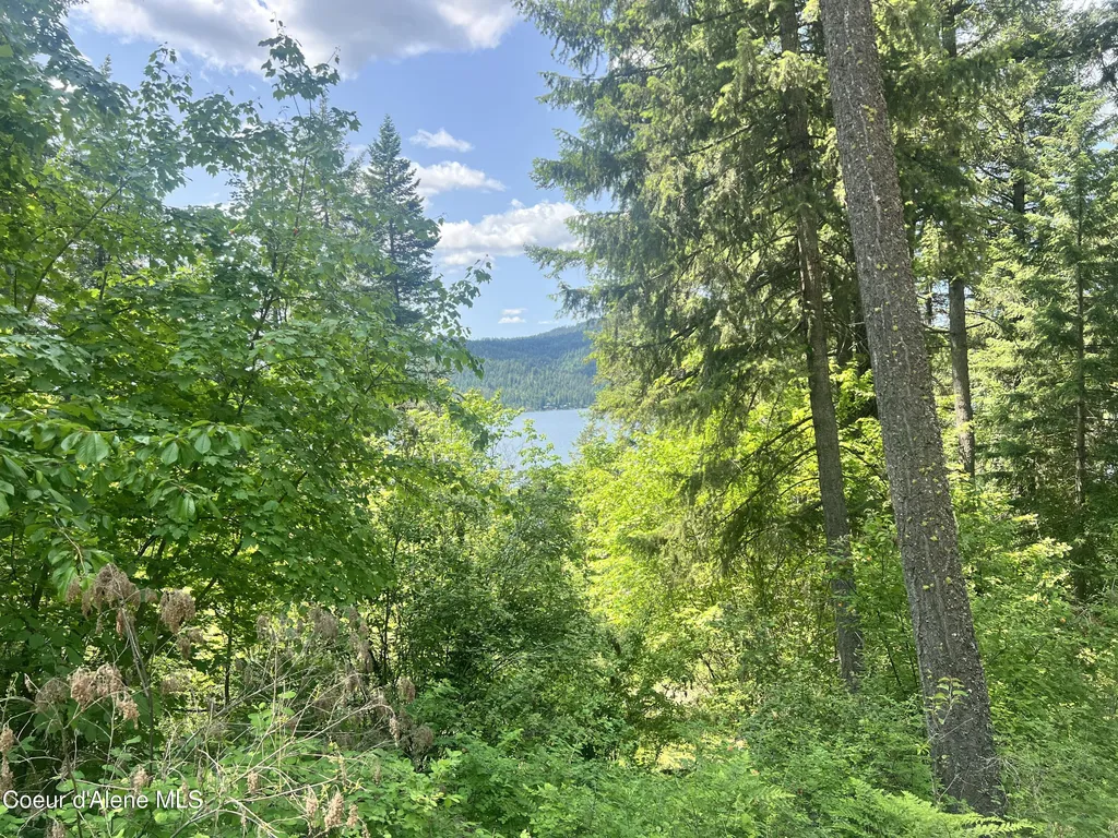 00NKA S Lakeview Lane Harrison ID 83833