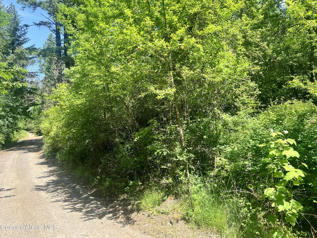 00NKA S Lakeview Lane Harrison ID 83833