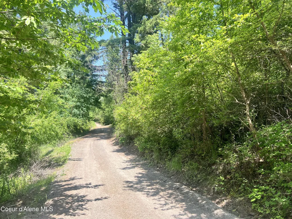 00NKA S Lakeview Lane Harrison ID 83833