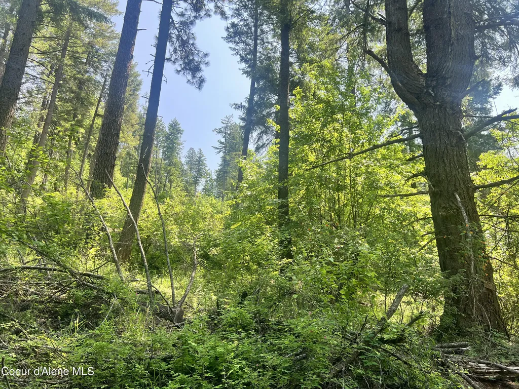 00NKA S Lakeview Lane Harrison ID 83833