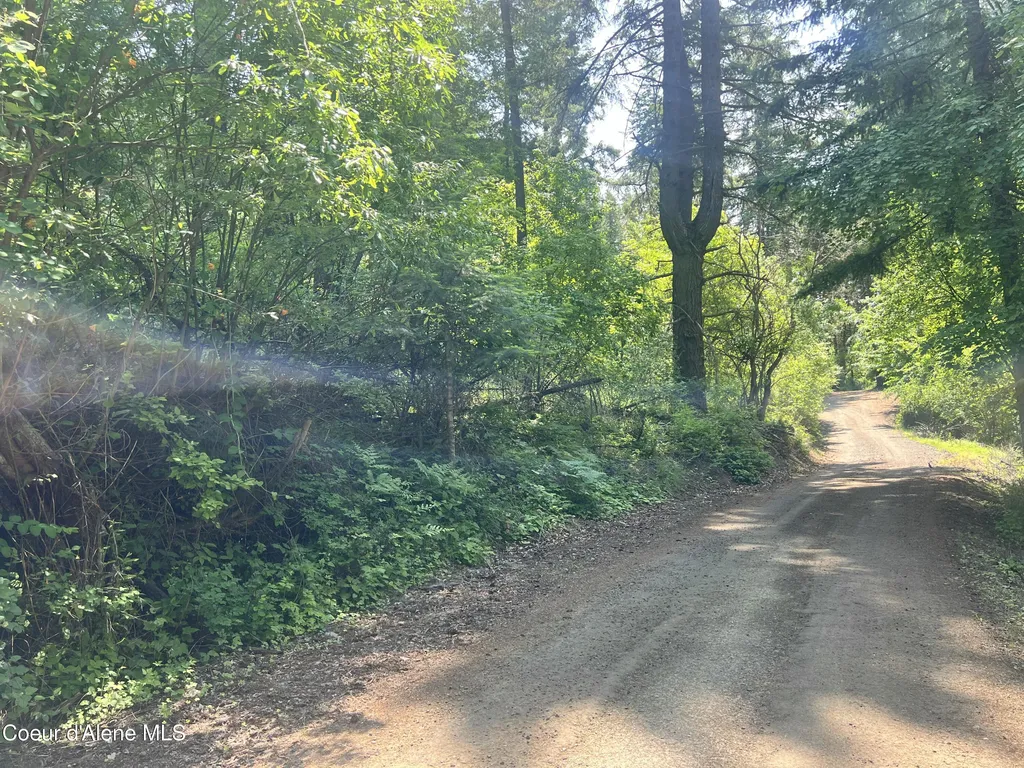 00NKA S Lakeview Lane Harrison ID 83833