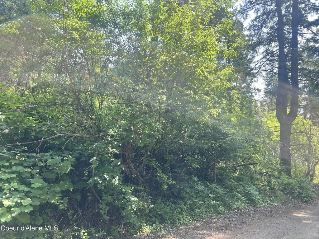 00NKA S Lakeview Lane Harrison ID 83833