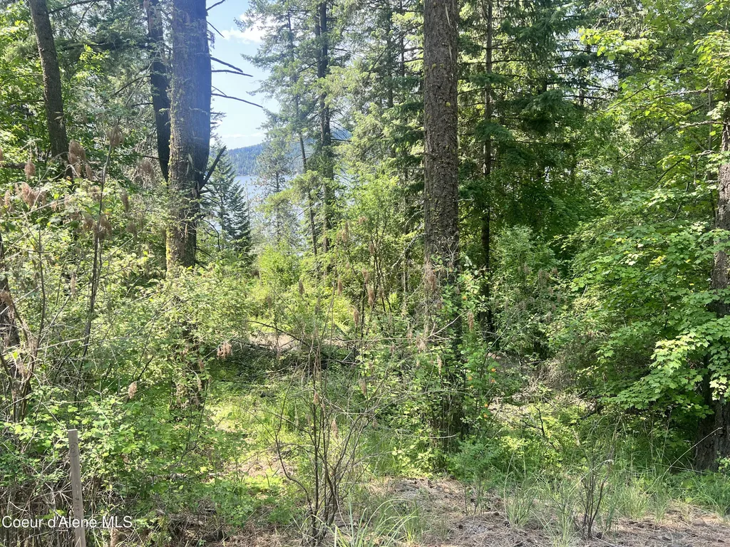 00NKA S Lakeview Lane Harrison ID 83833