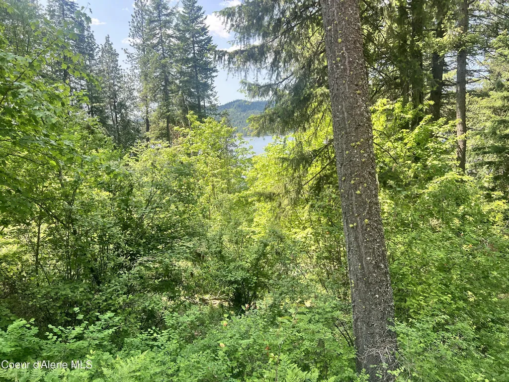 00NKA S Lakeview Lane Harrison ID 83833