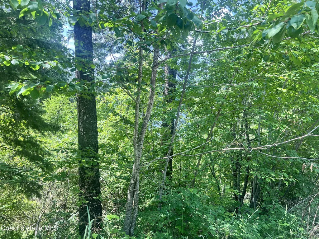 00NKA S Lakeview Lane Harrison ID 83833