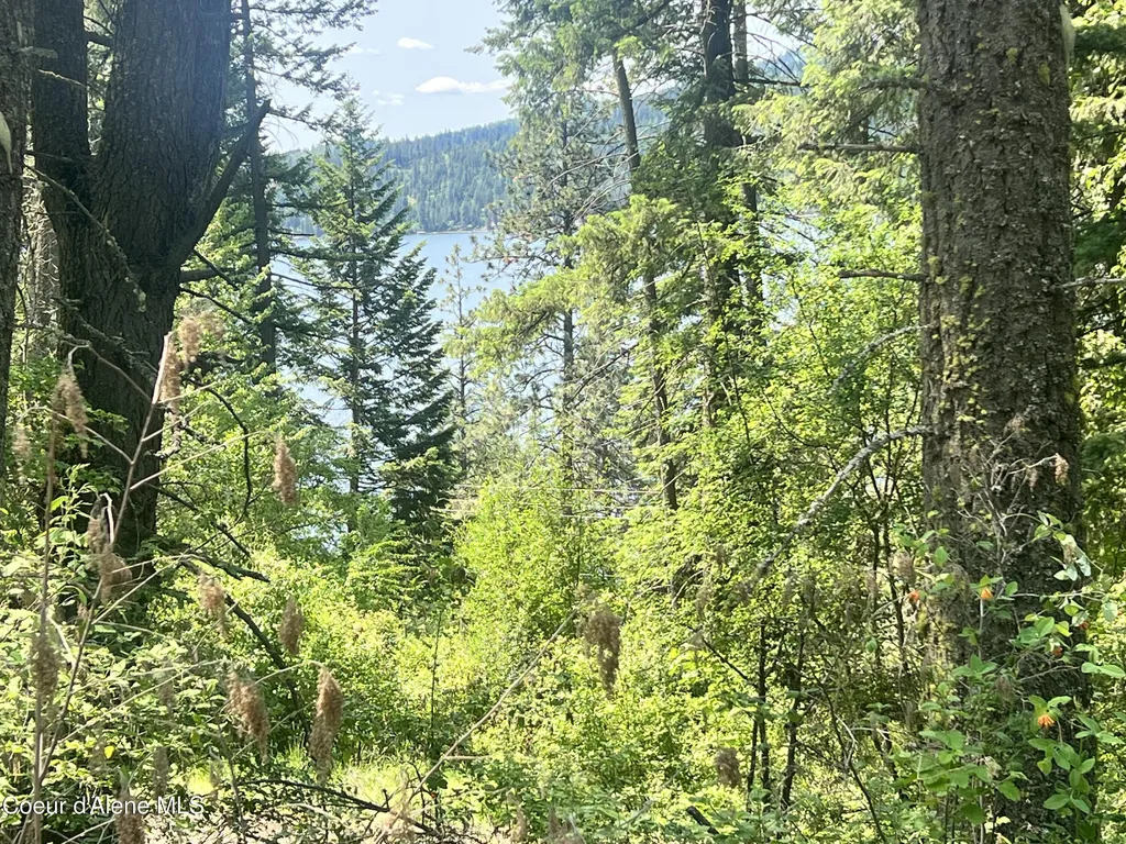 00NKA S Lakeview Lane Harrison ID 83833