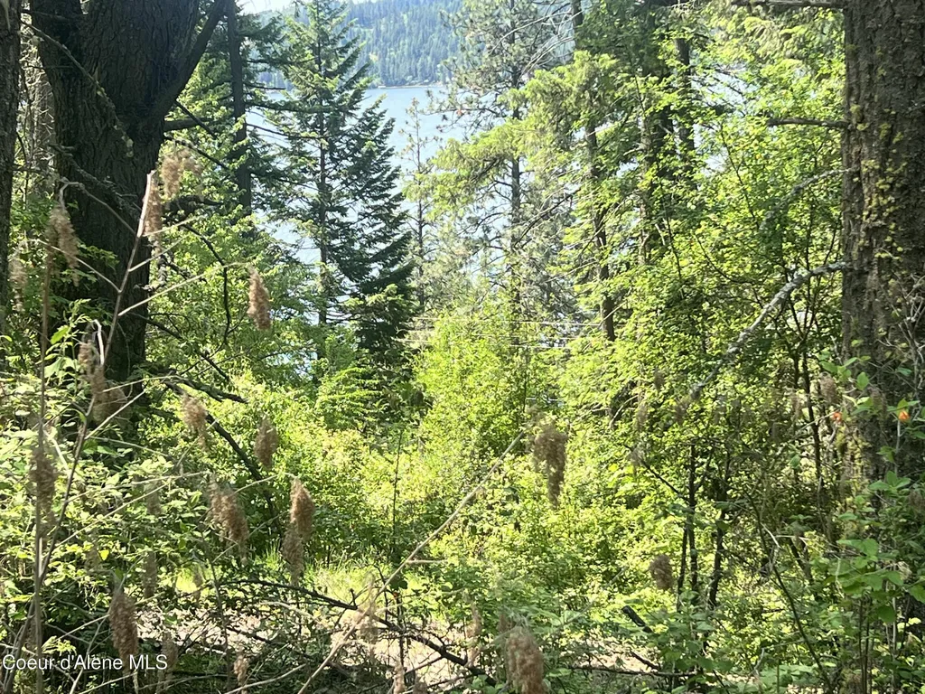00NKA S Lakeview Lane Harrison ID 83833