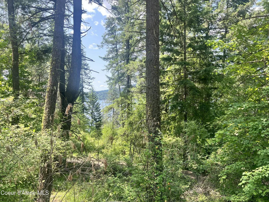 00NKA S Lakeview Lane Harrison ID 83833