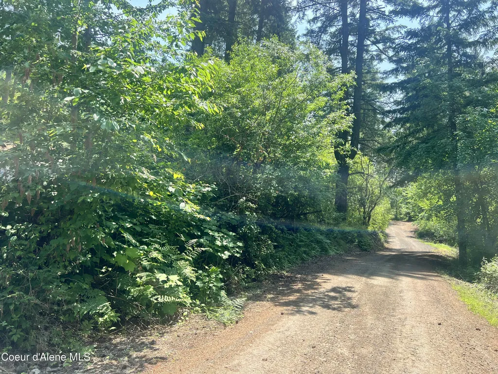 00NKA S Lakeview Lane Harrison ID 83833