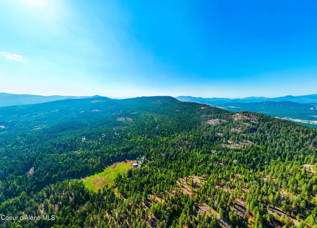 299 Oak Terrace Creek Cocolalla ID 83813